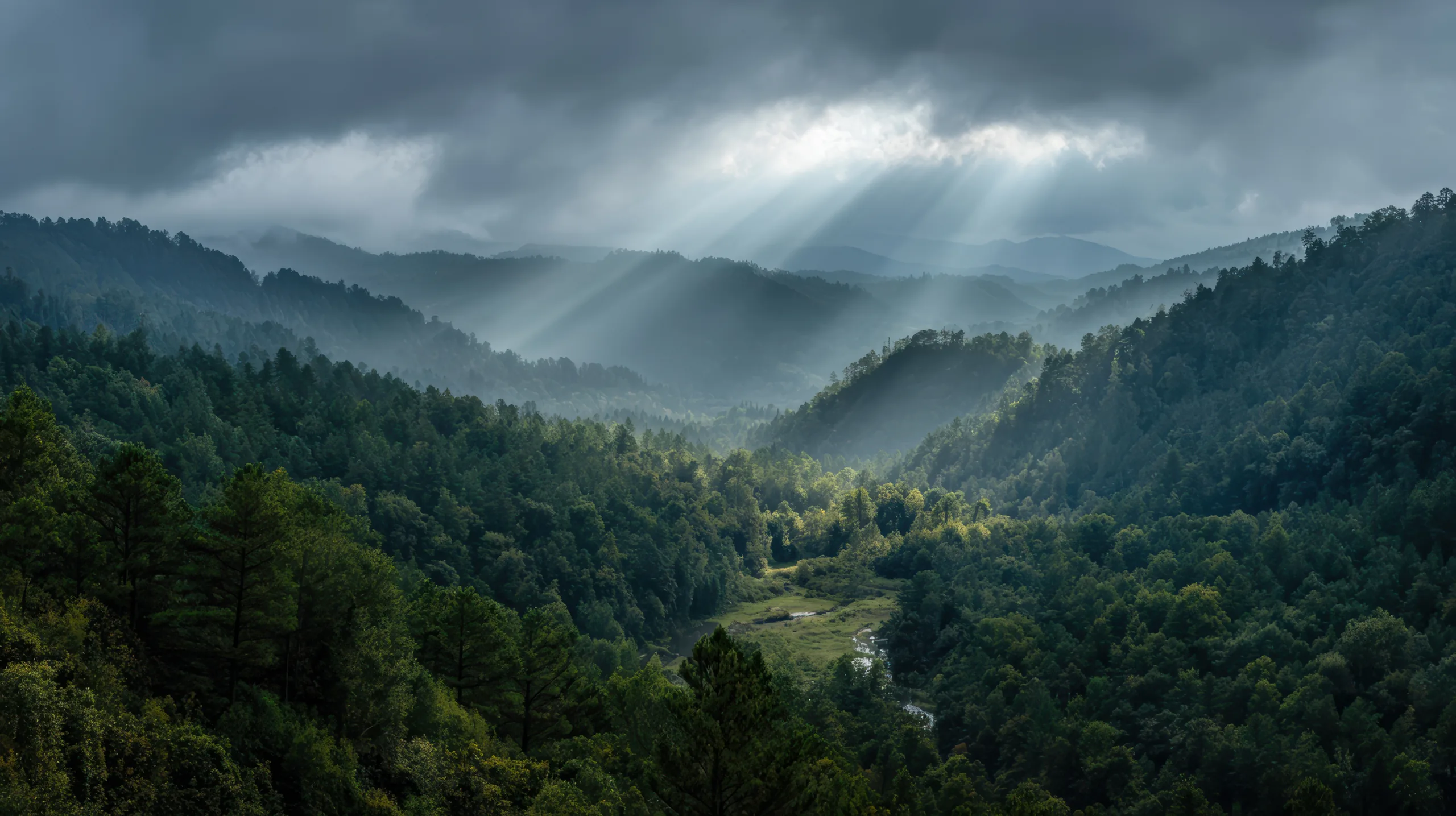 Cloud and sunlight over the forested ridges of the Western Ghats